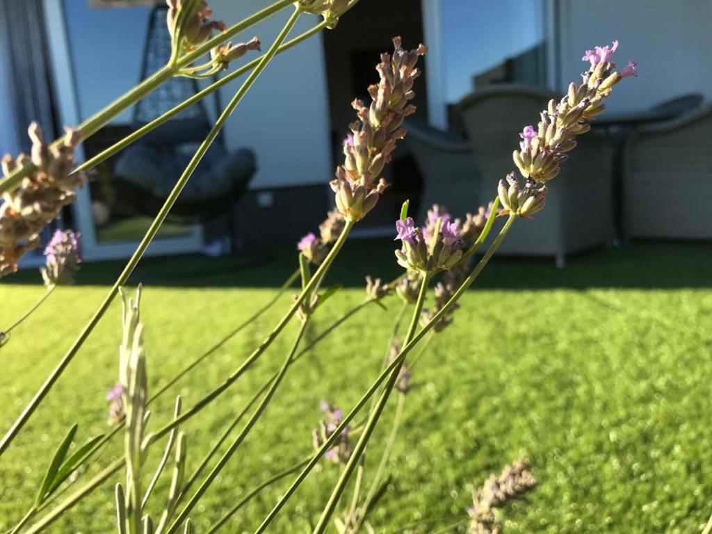 Hedonist-Luxury 2 Bedroom Apartment With Private Hot Tub, Garden And Free Parking Trogir Exteriör bild